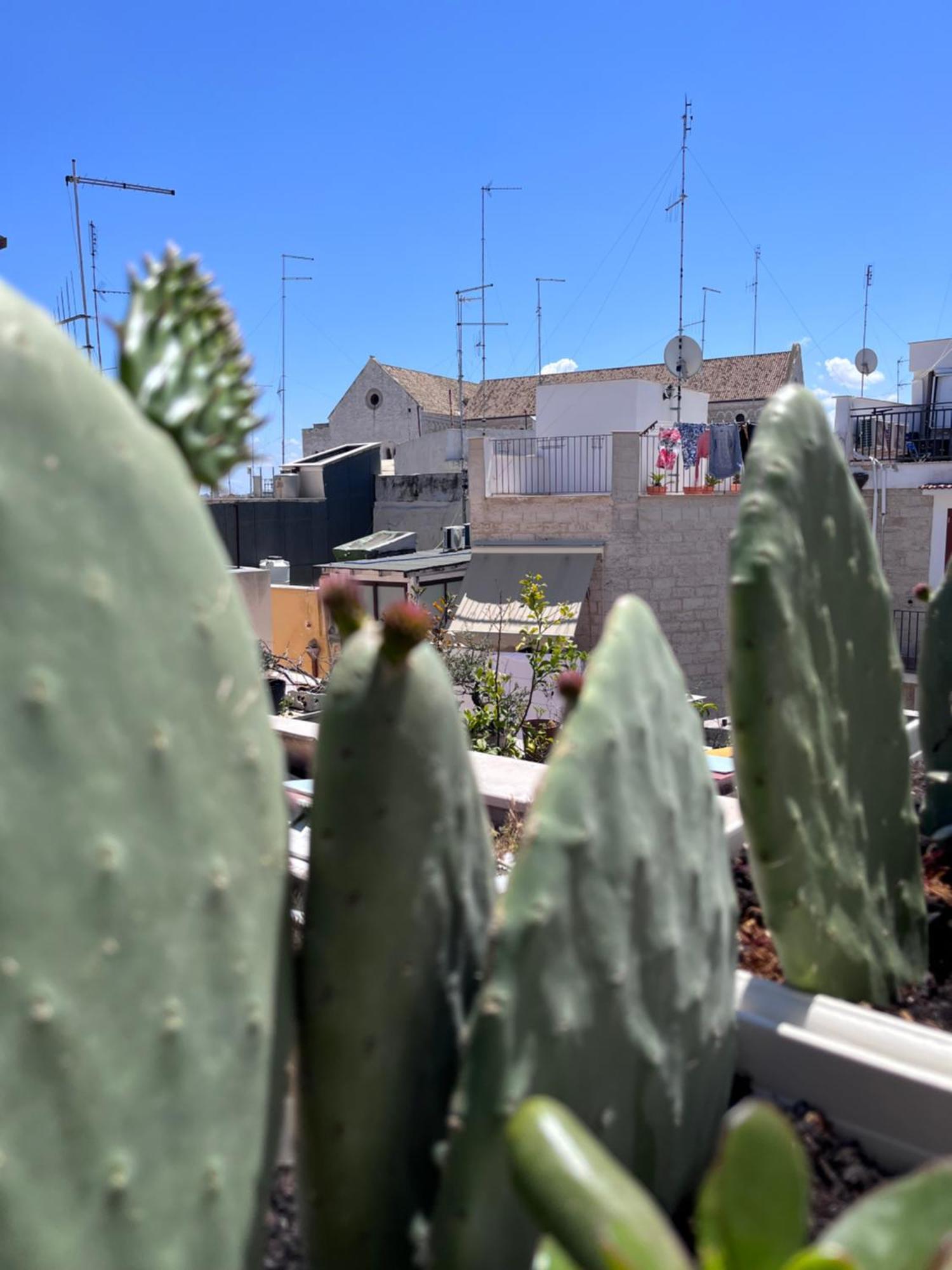 Casa Franca - Terracielo A Vecchia Holiday home Bari