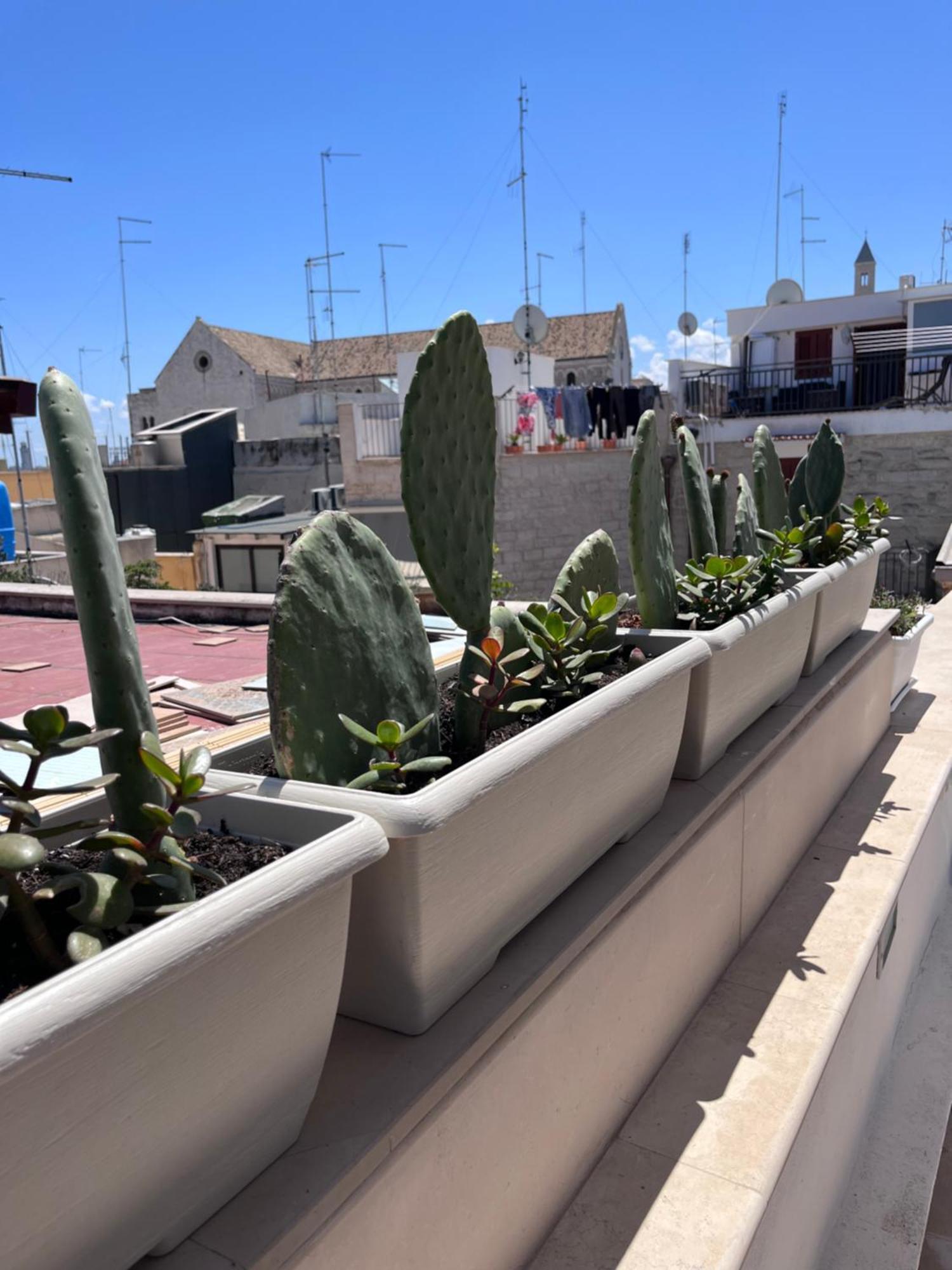 Casa Franca - Terracielo A Vecchia Hébergement de vacances
